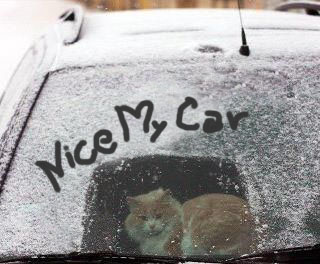 Nice MyCar.jpg