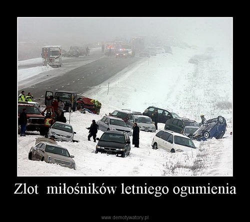 zmlo.jpg